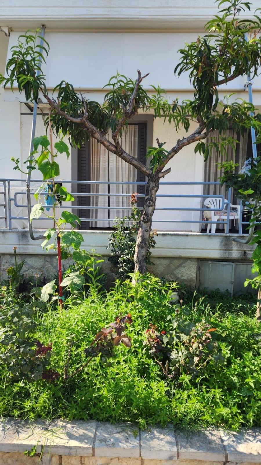 Mohito Beach Apartment 5 ساراندا المظهر الخارجي الصورة